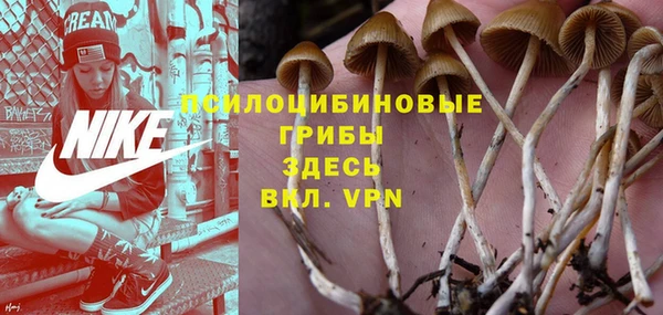 гидра Армянск