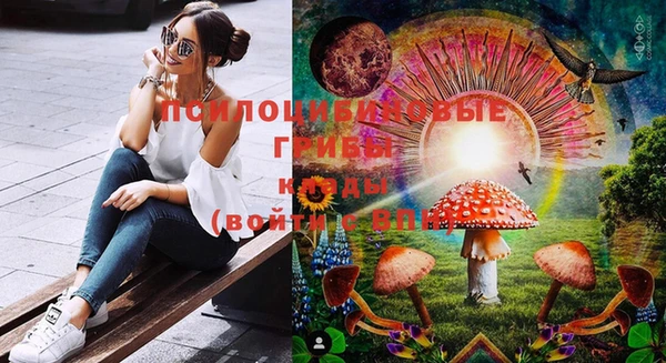 дмт Алзамай