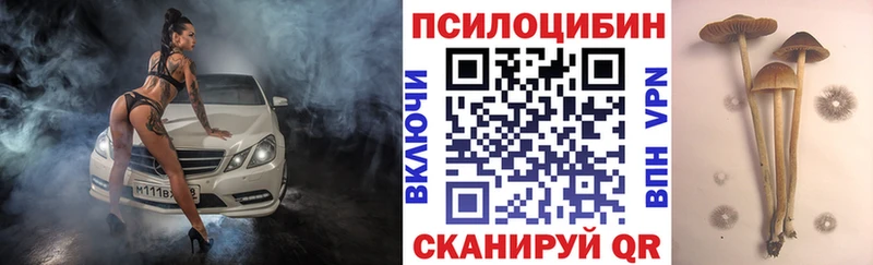 Псилоцибиновые грибы мицелий Темрюк